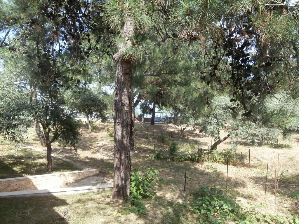 Villa Barouti Koinira Exterior foto